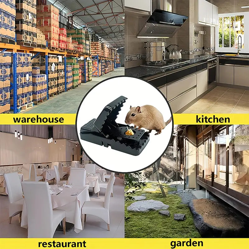 Billede af musefælde i brug i forskellige miljøer: lager, køkken, restaurant og have. Effektiv skadedyrsbekæmpelse, musefælde, rottefælde.