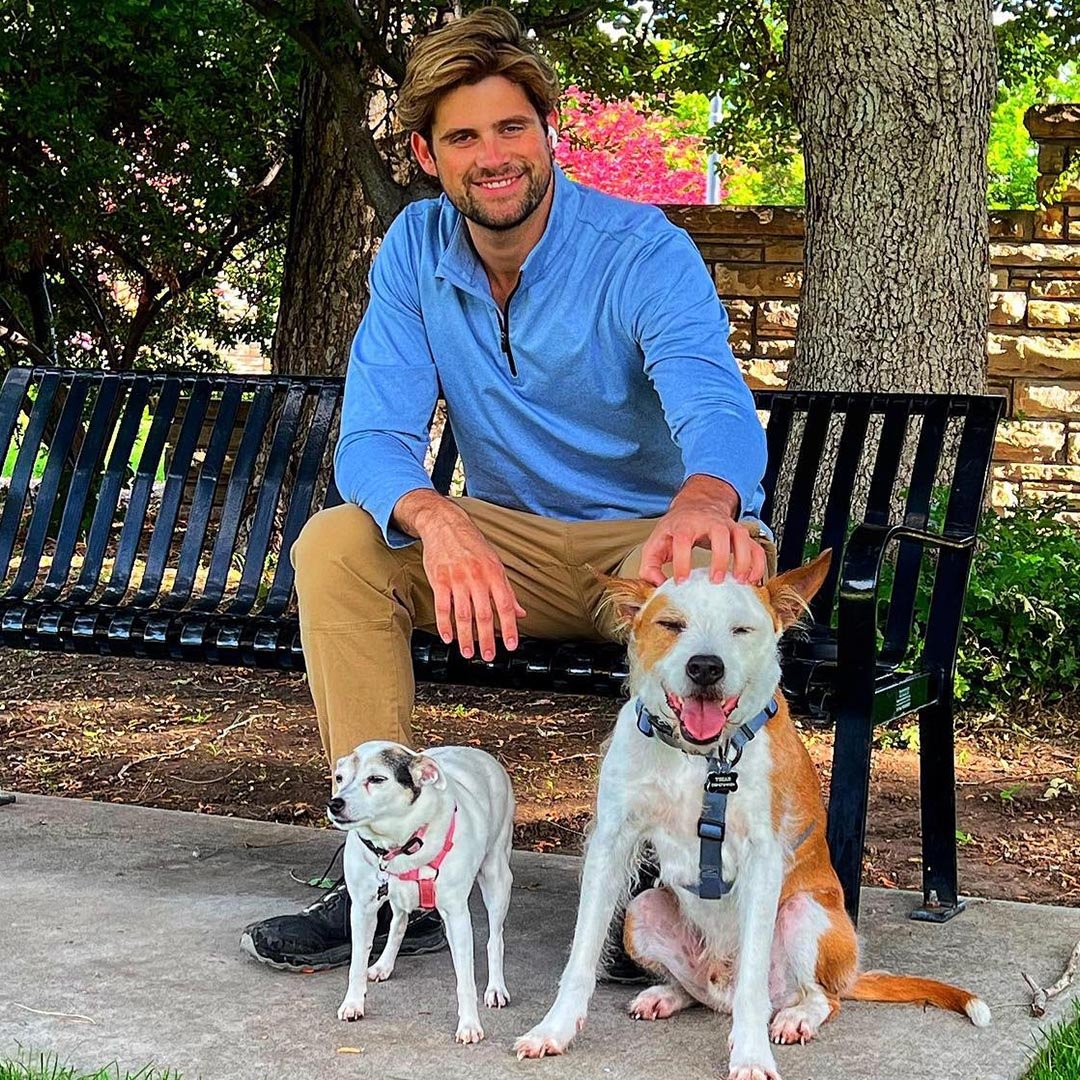 En mand sidder på en bænk i en park og klapper en glad hund, mens en anden lille hund står ved siden af. Træer og blomster i baggrunden.