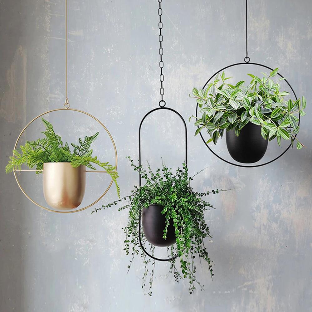 Hængende planter i moderne metalrammer mod grå væg. Indendørs dekoration, grønne planter, minimalistisk design, skandinavisk stil.