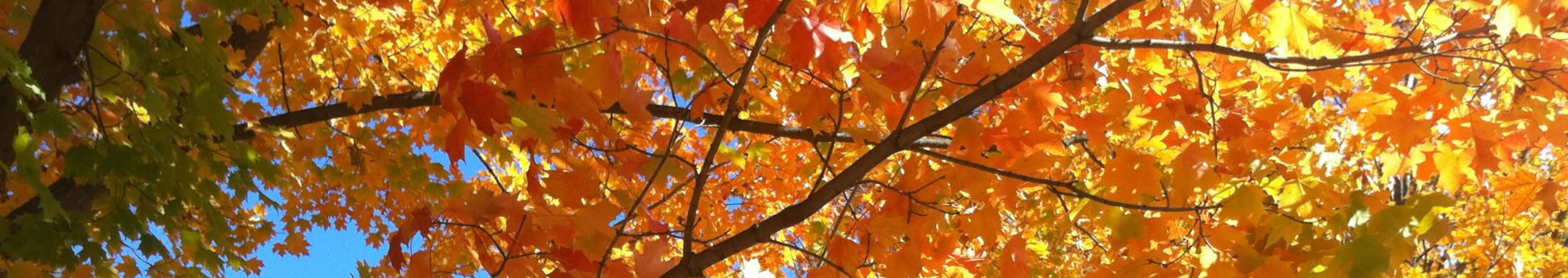 Autumn Women 2025