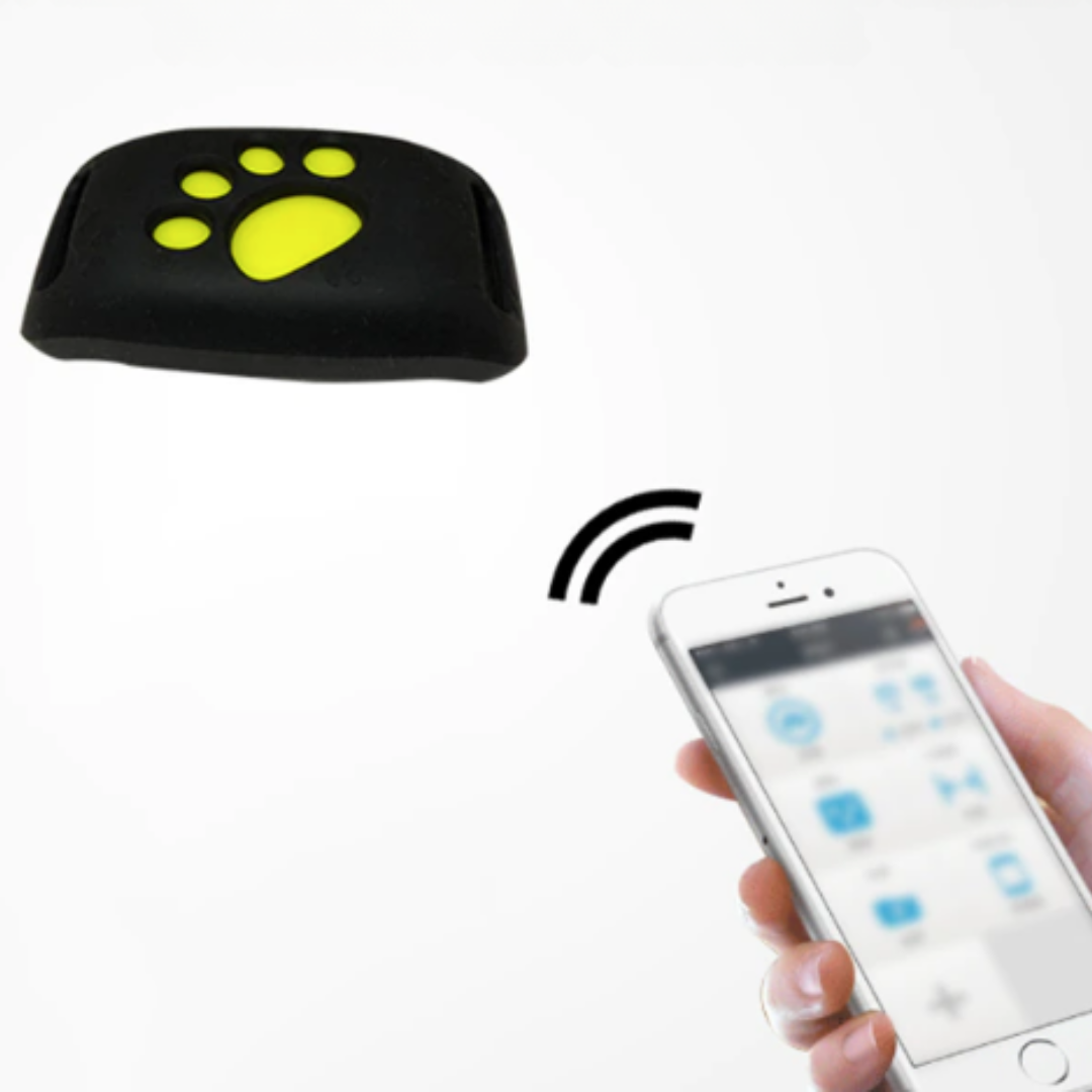 PetSafe GPS obojek pro domácí mazlíčky - sledování v reálném čase, vodotěsný a bez předplatného