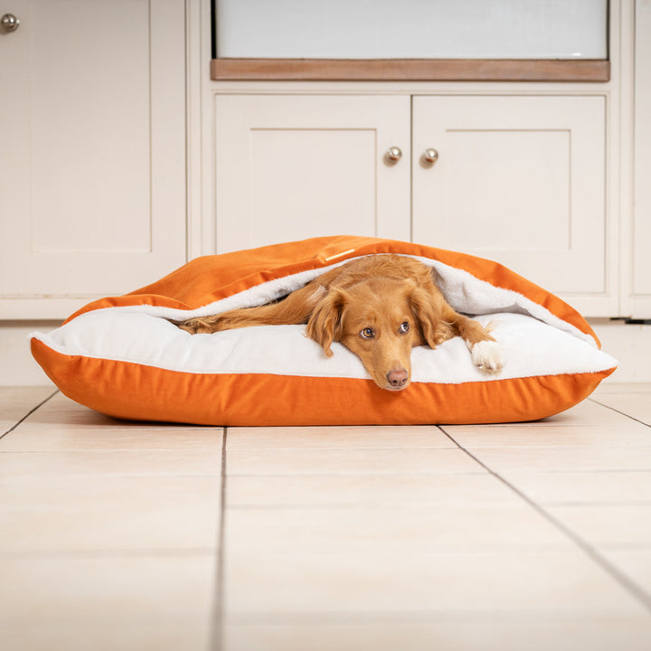 Pat pentru câini Sleepy Burrows Pumpkin Velvet - pat hyggelig cu glugă