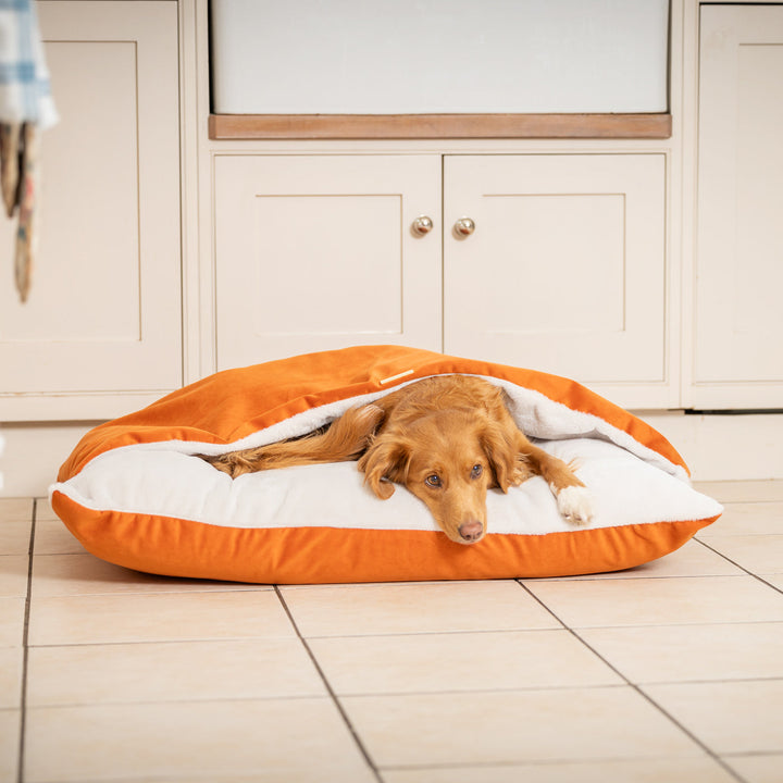 Pat pentru câini Sleepy Burrows Pumpkin Velvet - pat hyggelig cu glugă