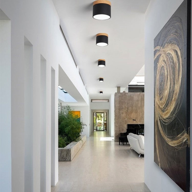 Moderne gang med minimalistisk indretning, kunstmaleri på væggen, loftslamper og grønne planter. Lyse farver og elegant design.