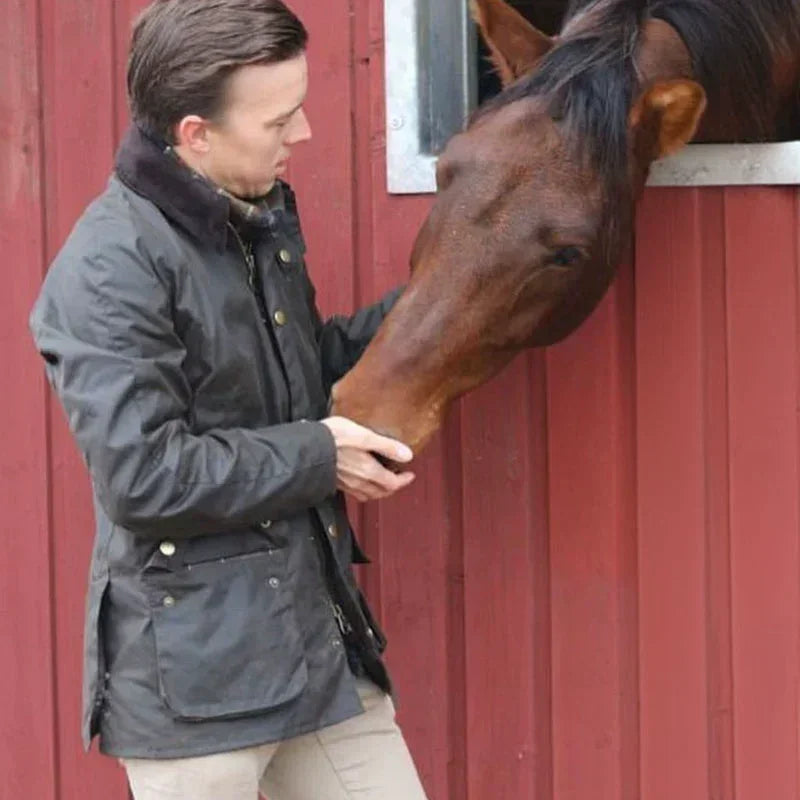 En mand i en mørk jakke fodrer en brun hest ved en rød stald. Hestepleje, staldliv, dyreinteraktion.