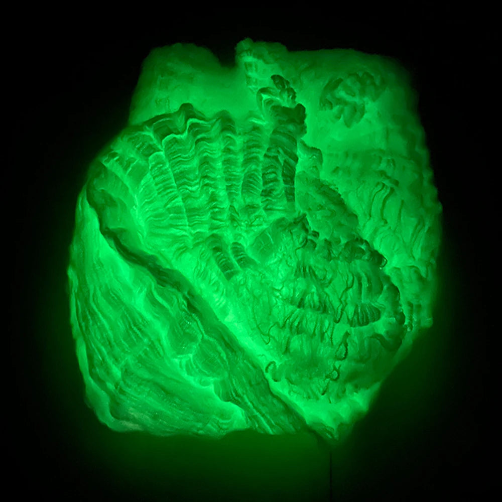Halloween Selvlysende Edderkoppespind | Glow In The Dark Spindelvæv til Uhyggelig Udendørs Dekoration