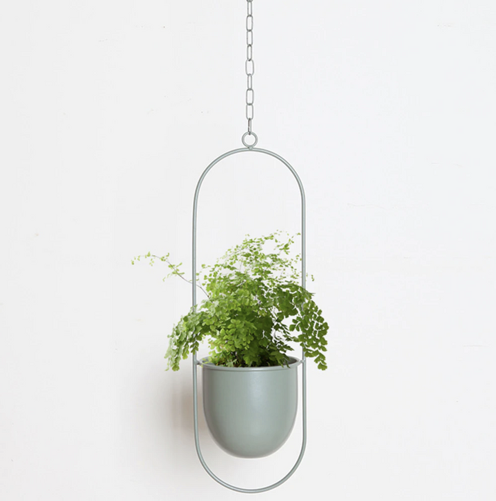 FloraFrame | Moderni minimalistinen seinälle kiinnitettävä kasvi