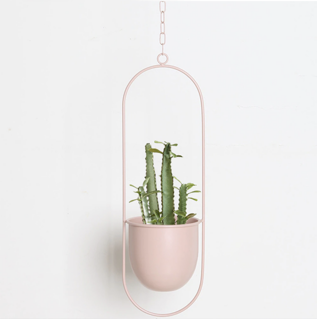 FloraFrame | Moderni minimalistinen seinälle kiinnitettävä kasvi