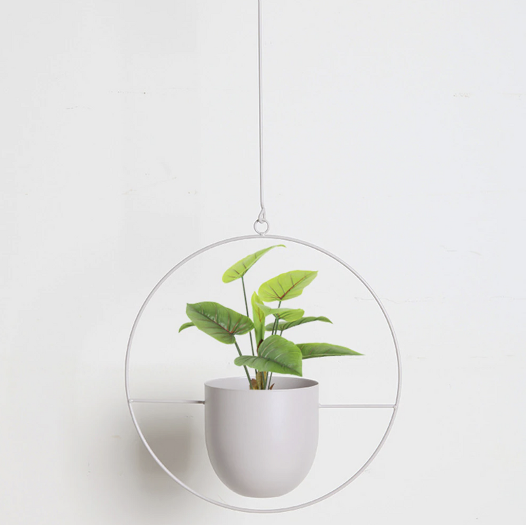 FloraFrame | Moderni minimalistinen seinälle kiinnitettävä kasvi