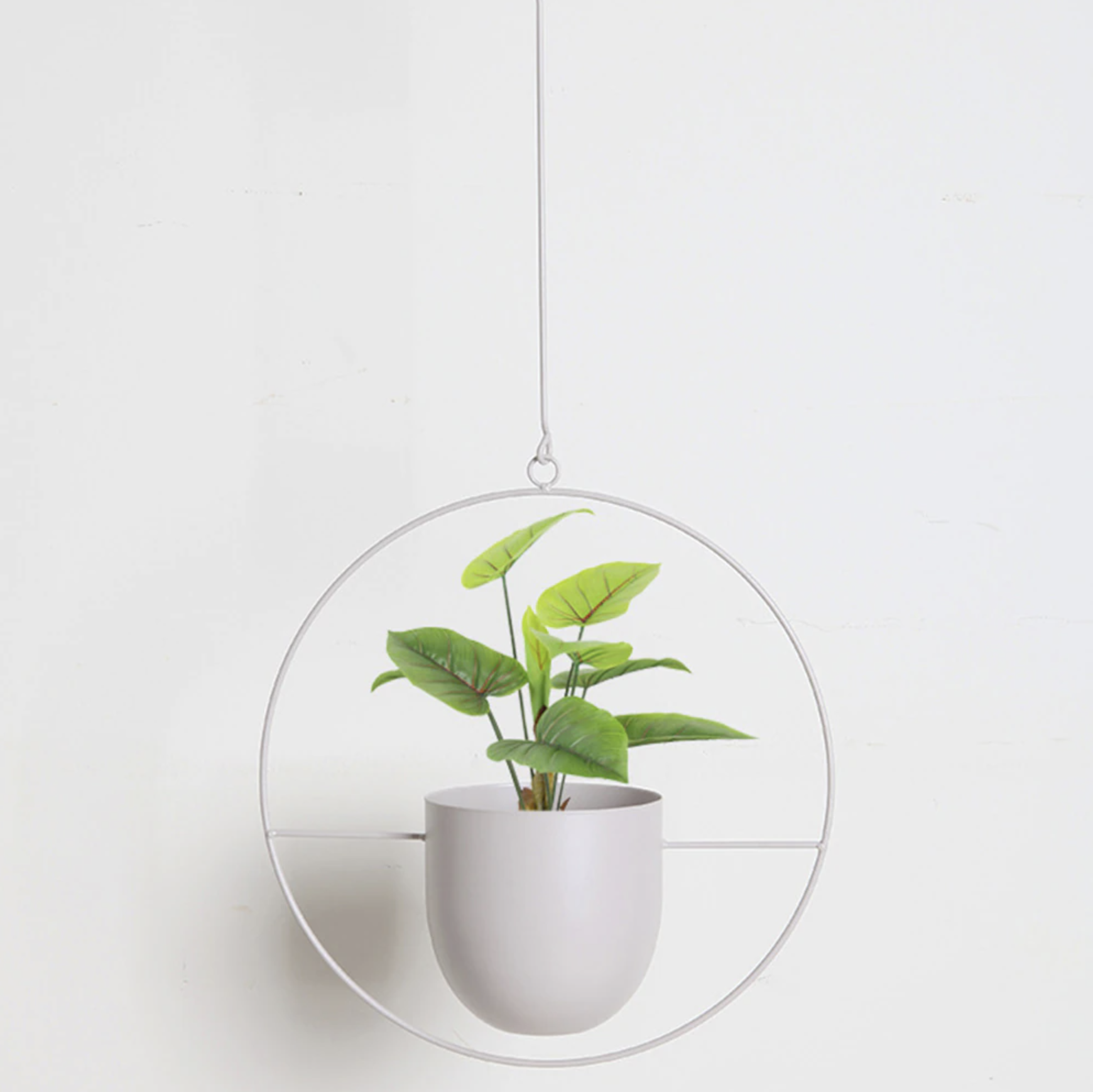 Hængende plante i hvid potte med grønne blade, moderne cirkulær metalramme, minimalistisk indretning, indendørs planteophæng, stilfuld vægdekoration.