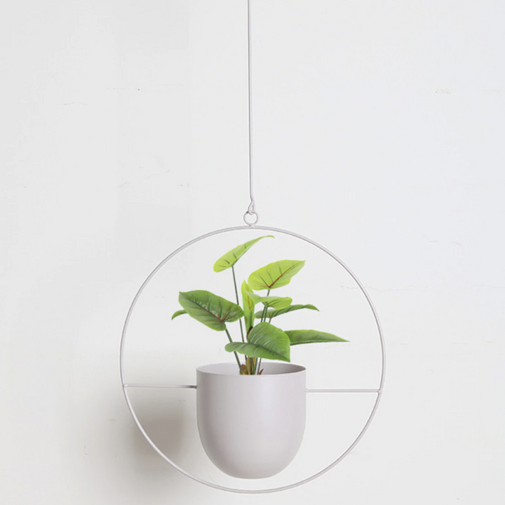 FloraFrame | Moderni minimalistinen seinälle kiinnitettävä kasvi