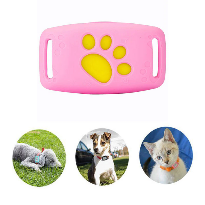 PetSafe GPS obojek pro domácí mazlíčky - sledování v reálném čase, vodotěsný a bez předplatného