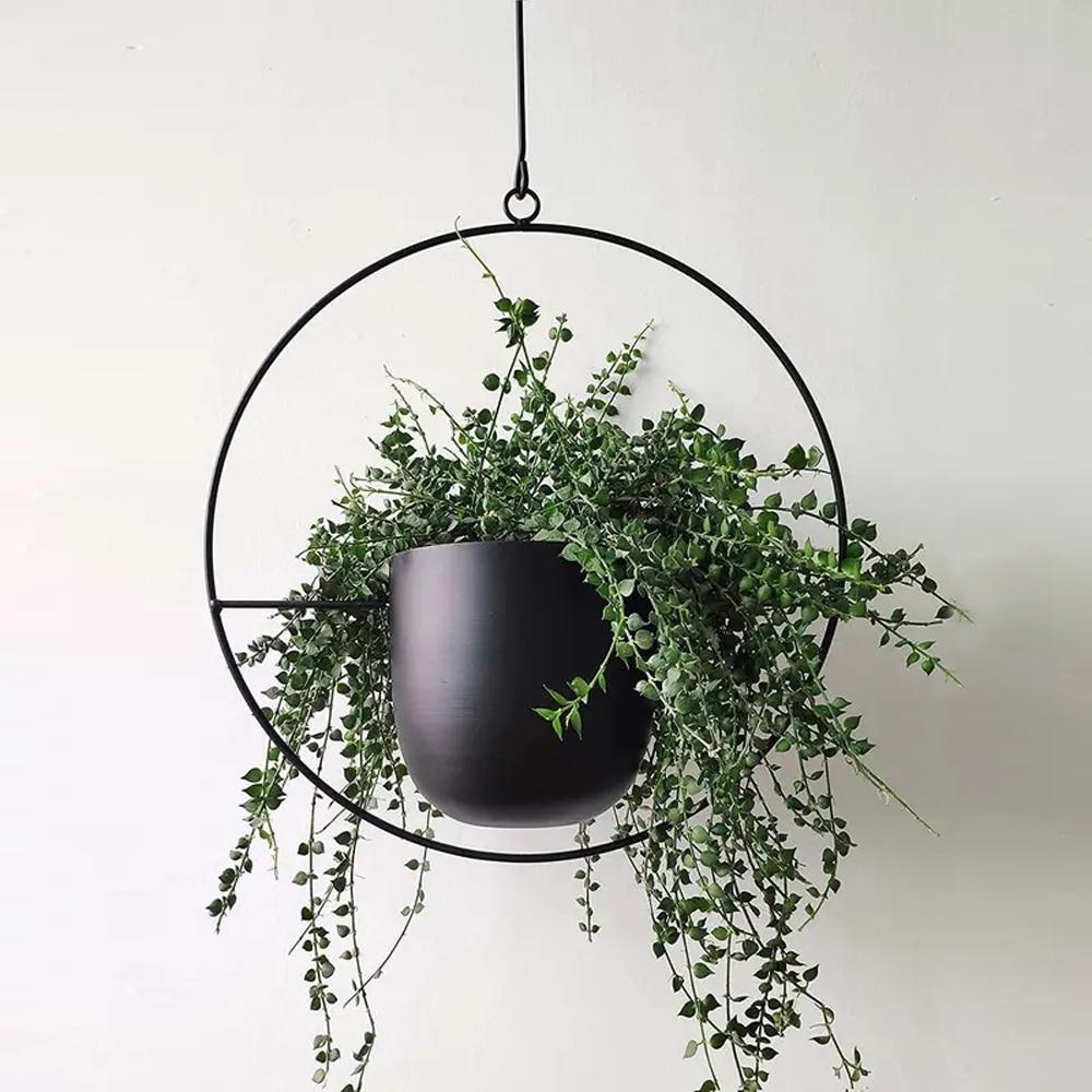 FloraFrame | Moderni minimalistinen seinälle kiinnitettävä kasvi