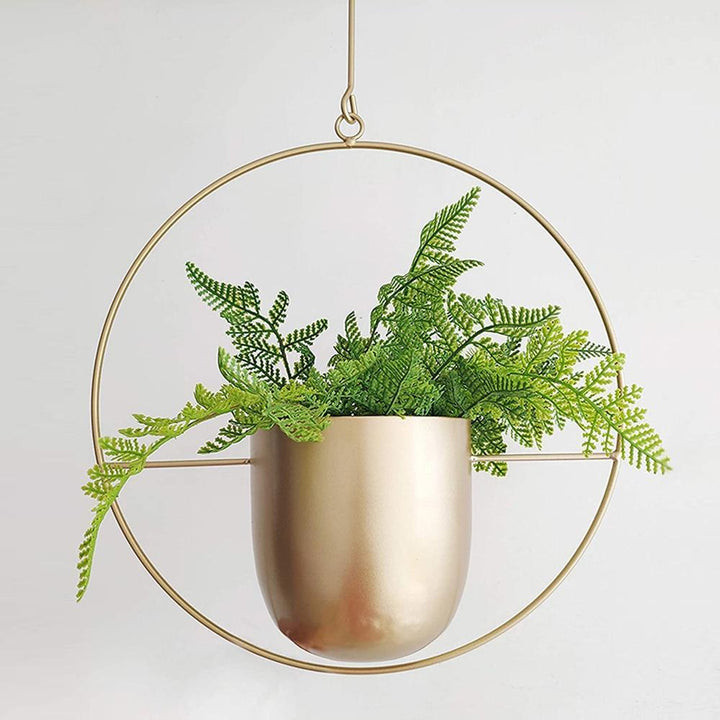 FloraFrame | Moderni minimalistinen seinälle kiinnitettävä kasvi