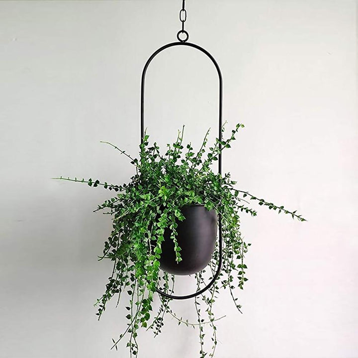 FloraFrame | Moderni minimalistinen seinälle kiinnitettävä kasvi